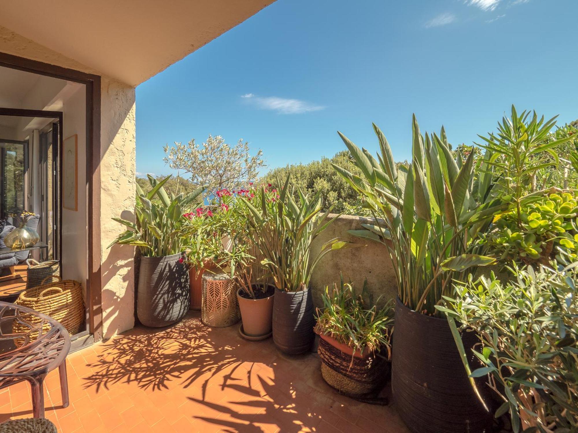 Residence Les Sources Брандо Экстерьер фото